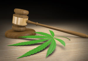 Medical marijuana dispensaries zoning ban passes CEQA test