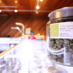 medical marijuana