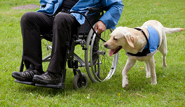 ADA compliance